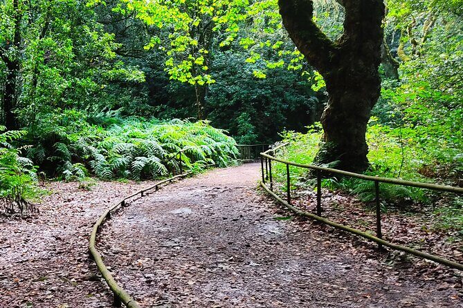 PR9 Caldeirão Verde Queimadas Levada Self-Guided Hiking Transfer - Price and value: what $39.76 really covers (and what doesn’t)