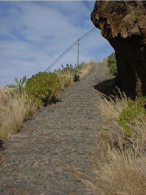 Prazeres: Full-Day Nature Walk - Key highlights worth planning for