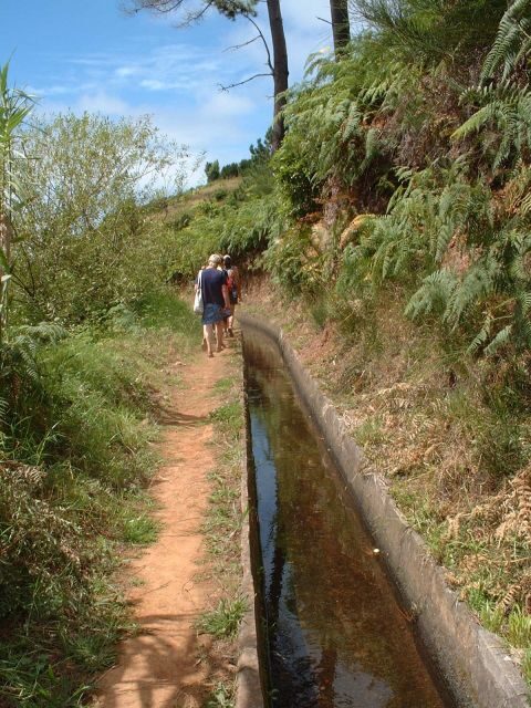 Prazeres: Full-Day Nature Walk - Where the walk begins: extreme west Madeira with constant ocean views