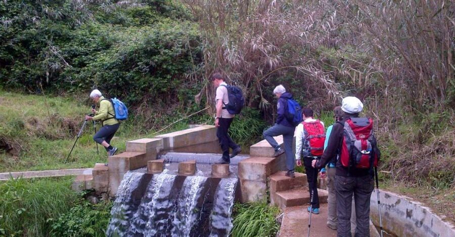 Prazeres: Full-Day Nature Walk - Prazeres and the levadas: walking through working Madeira (not just pretty paths)