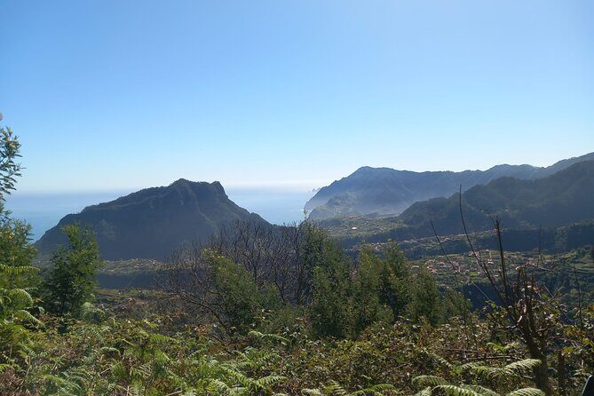 Private 4x4 Jeep Full Day to Santana or Porto Moniz - Porto Moniz Natural Swimming Pools: the volcanic water stop