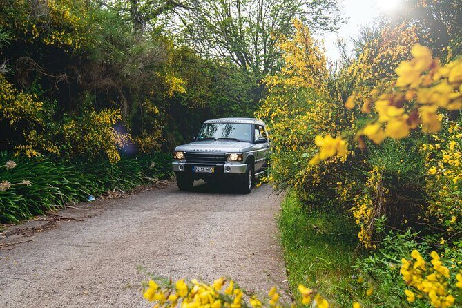 Private 4x4 Jeep Half Day - Picturesque Peaks, Vineyards, Skywalk - A private 4x4 that turns a short day into a full-feeling one