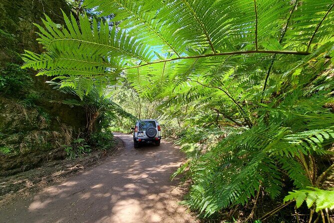 Private 4x4 Jeep Half Day - Picturesque Peaks, Vineyards, Skywalk - Timing, pickup, and how the jeep changes the day