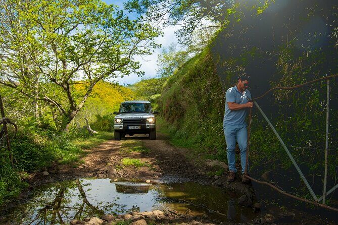 Private 4x4 Jeep Half Day - Picturesque Peaks, Vineyards, Skywalk - Camâra de Lobos fishing village: boats, color, and real Madeira texture