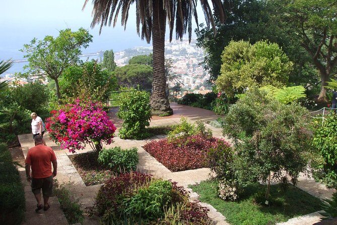 Private Botanical Garden Tour - Tuk-tuk in Funchal: why this downhill route works