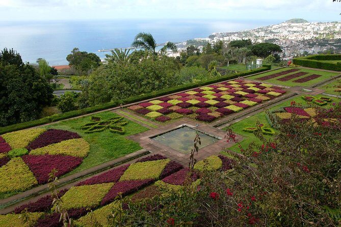 Private Botanical Garden Tour - Central Market stop: get your bearings in Funchal