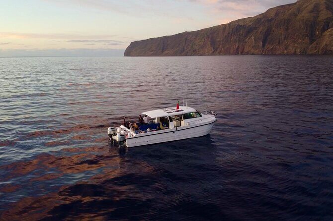 Private Cruise to Calheta and Caniçal Coasts - Caniçal north-side cruise: the island’s rougher edge and more open views