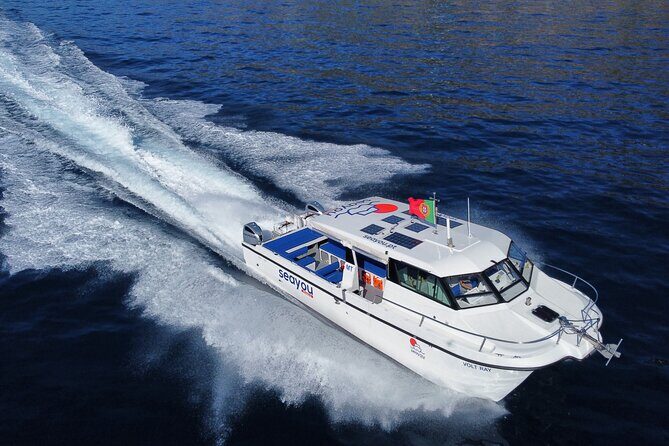 Private Cruise to Calheta and Caniçal Coasts - Price and value: what $89.60 per person buys you