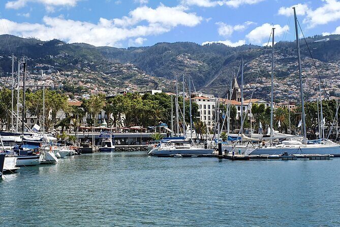 Private Cruise with Wine Tasting in Funchal Bay - Marina do Funchal Start: What to Expect Before You Cast Off
