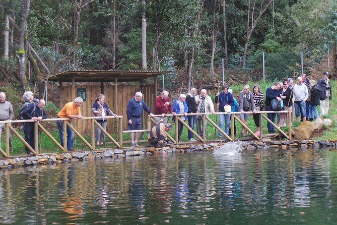 Private Full Day 4X4 Experience: East or West - The 7.5-hour plan: stop by stop