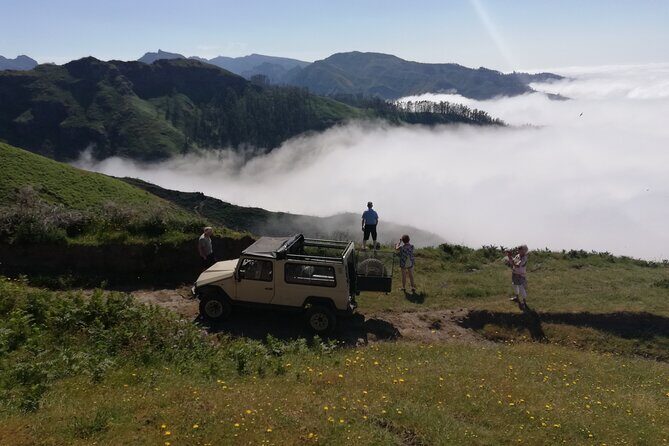 Private Full-Day - Comfort 4x4 Tour - NorthWest - Bica da Cana near 1600m: wildlife views with cattle grazing nearby