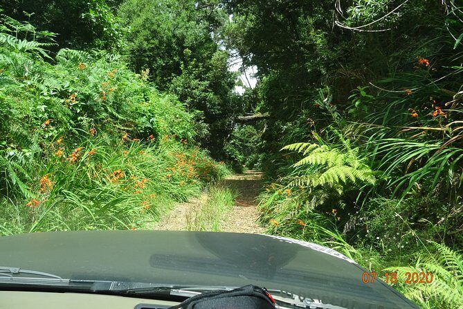 Private Full Day Off-Road Tour in Madeira - Off-road reality check: bumps, steep grades, and feeling safe