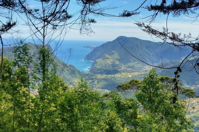 Private Full Day Off-Road Tour in Madeira - Picking your guide: what people get right on this day