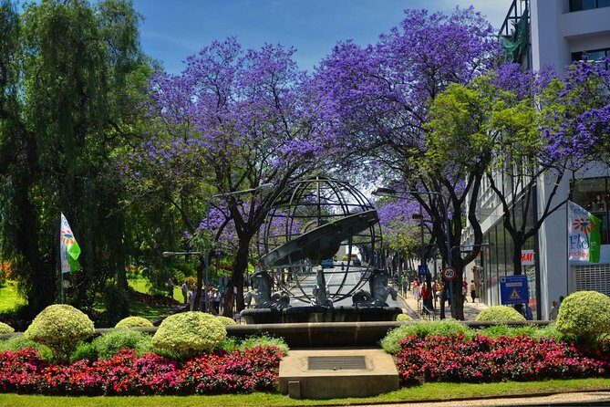 Private Funchal City Tour by Tukxi - Getting the Most Out of Your Tukxi Hour 30