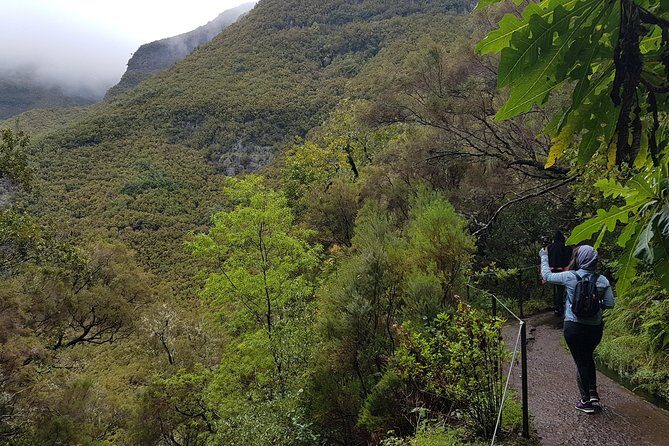 Private Guided Walk Levada 25 Fontes - What’s Included (and Why It Matters for Value)