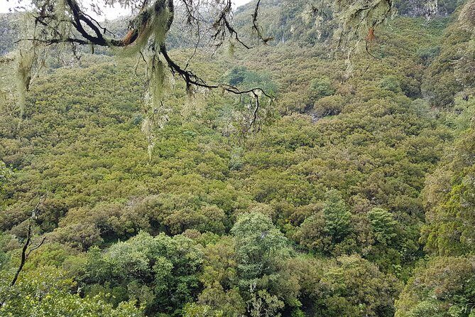 Private Guided Walk Levada 25 Fontes - Price and Logistics: How to Judge This Fairly