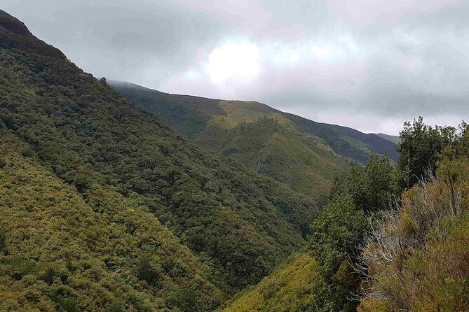 Private Guided Walk Levada 25 Fontes - Weather on Madeira: Dress for Rain and Mist