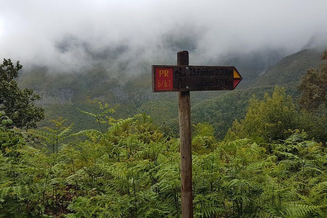Private Guided Walk Levada 25 Fontes - What a 5-Hour Private Day Looks Like