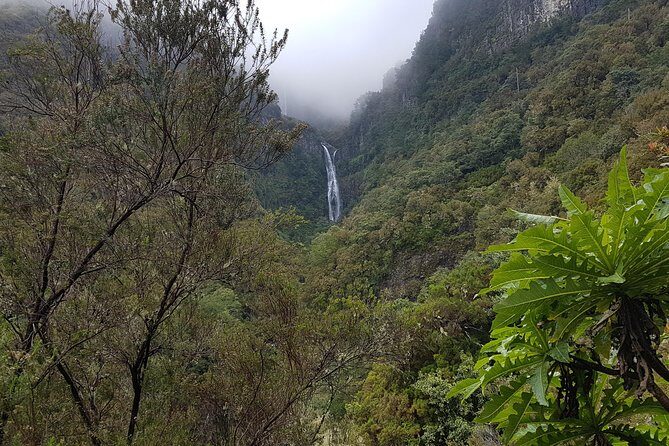 Private Guided Walk Levada 25 Fontes - Waterfalls, Lagoons, Birdlife, and Endemic Plants