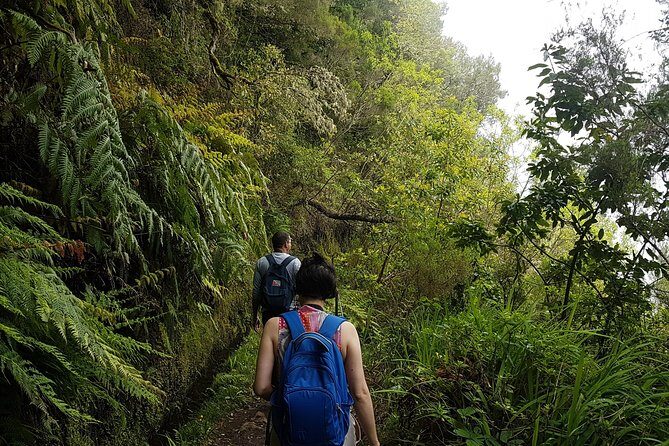 Private Guided Walk Levada Caldeirao Verde - Stops, Views, and the Waterfall Payoff