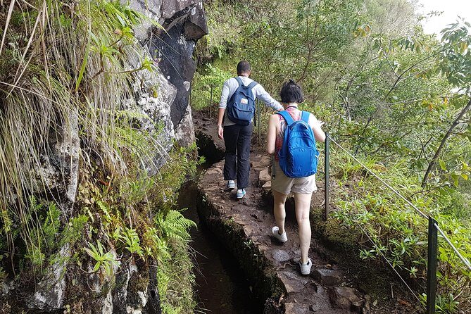 Private Guided Walk Levada Caldeirao Verde - Price and Value: Is $108.02 Fair for This Tour?