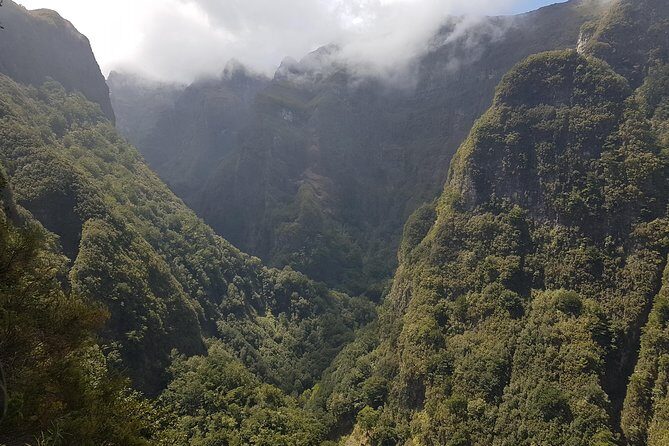Private Guided Walk Levada Caldeirao Verde - What Your Guide Actually Does on the Ground