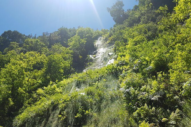 Private Guided Walk Levada do Rei - What Your Guide Teaches You on the Day