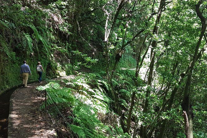 Private Guided Walk Levada do Rei - Food Isn’t Included: Plan Your Energy Like a Local