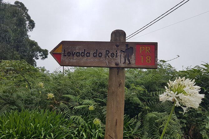 Private Guided Walk Levada do Rei - Walking the Laurissilva Forest and Levada System