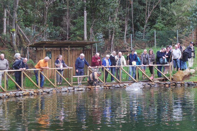 Private Half-Day 4X4 Experience: East or West - Valley of the Nuns (Curral das Freiras): mountain views with included entrance