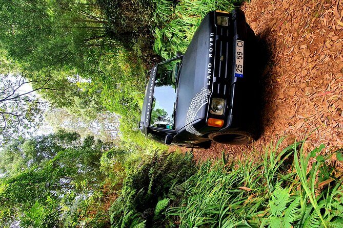 Private Half Day Off Road Tour in Madeira - Quinta Grande Eucalyptos Forest: Fruit, Trees, and the Slower Side of the Island