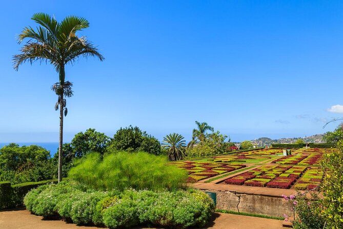 Private Half day tour around Madeira Island - Key highlights you’ll care about