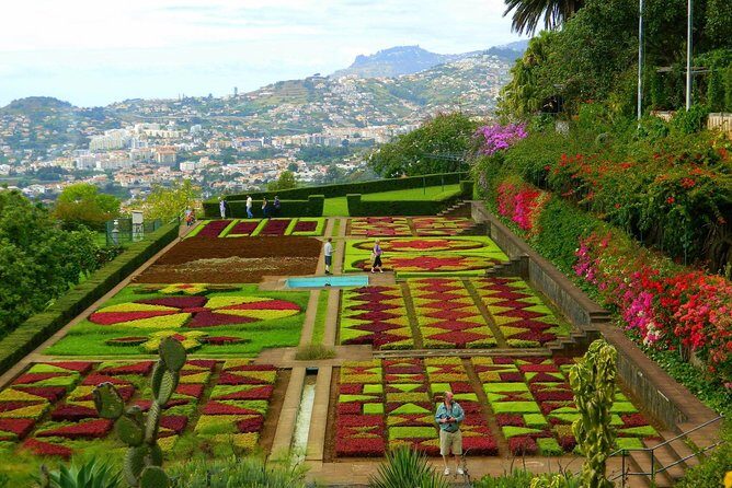 Private Half day tour around Madeira Island - Monte: toboggan fun or a calm church-and-café pause
