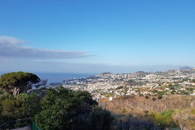 Private Halfday Madeira Garden Tour - Price and Value: What $142.30 Buys You in the Real World