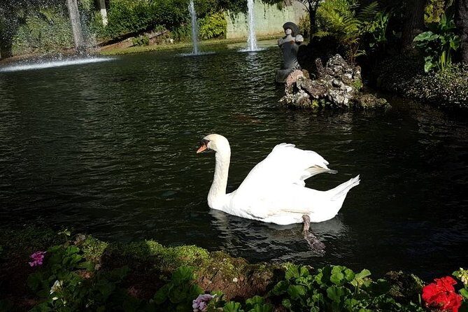 Private Halfday Madeira Garden Tour - Should You Book This Private Half-Day Madeira Garden Tour?