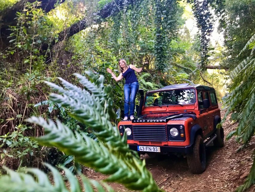 Private Jeep Tour West-Side Natural Pools - Price and value: is $412 worth it for a private group?