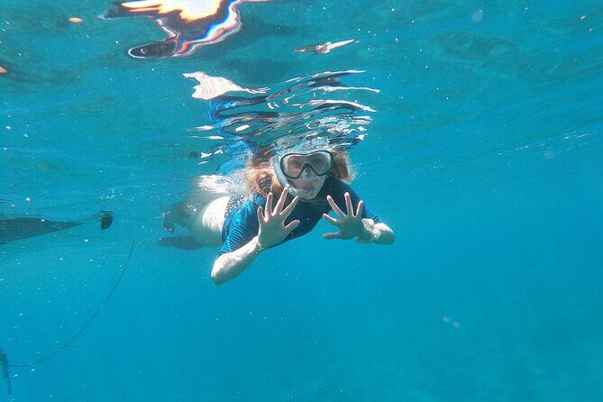 Private Kayak Tour & Snorkeling in Câmara de Lobos - Price and value: what $66.47 includes (and why that matters)