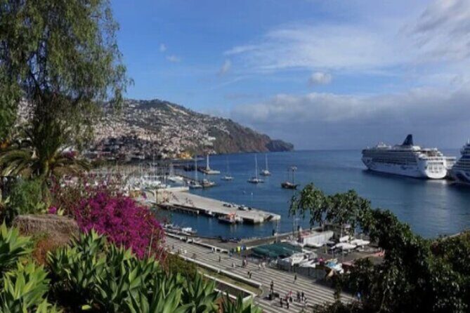 Private: Maderia Island Tour & Famous Monte Toboggan Ride - Weather, Timing, and How to Stay Flexible
