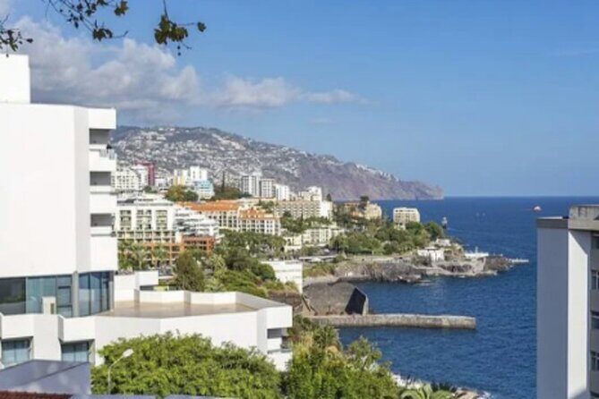 Private: Maderia Island Tour & Famous Monte Toboggan Ride - Cabo Girão Sea Cliff: Tranquil Miradouro, Pine-and-Eucalyptus Air
