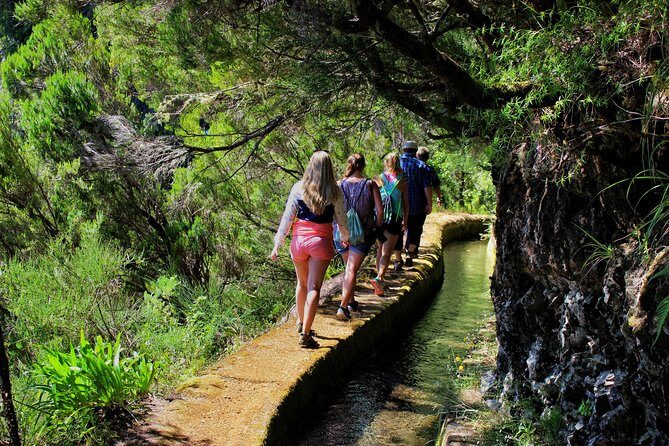 Private Small Group Full Day 4x4 Tour in Northwest Madeira - Ilhéus da Ribeira da Janela: volcanic edges and a quick break
