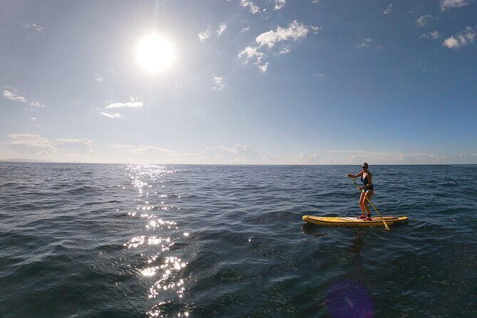Private Stand Up Paddle Tour in Câmara de Lobos - Cabo Girão: seeing the famous cliff skyline from a water-level viewpoint