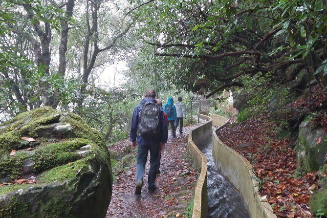 Private Sunrise Guided hike on Pico do Areeiro or other custom - Who this tour fits best (and who should think twice)