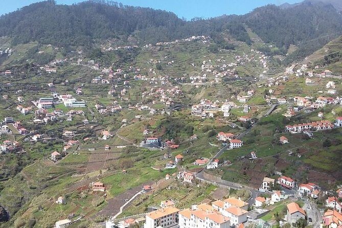 Private Tour Halfday South Madeira - Private South Madeira in 4 Hours: The Payoff and the Rhythm
