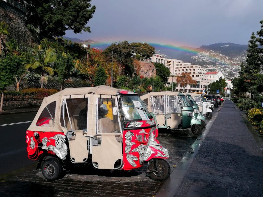 Private tour:Tuk Tuk Ride to Monte Funchal Toboggans - The pickup in Funchal (and how cruise timing affects it)