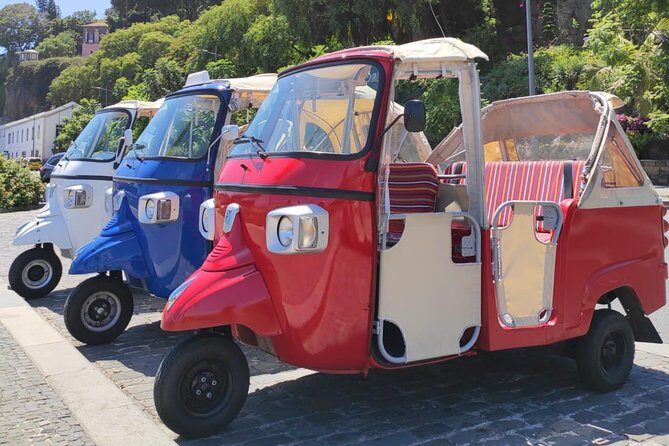 Private Tuk Tuk Tour to Old Town + Monte in Funchal - Timing tips that can turn a good day into a stress-free one