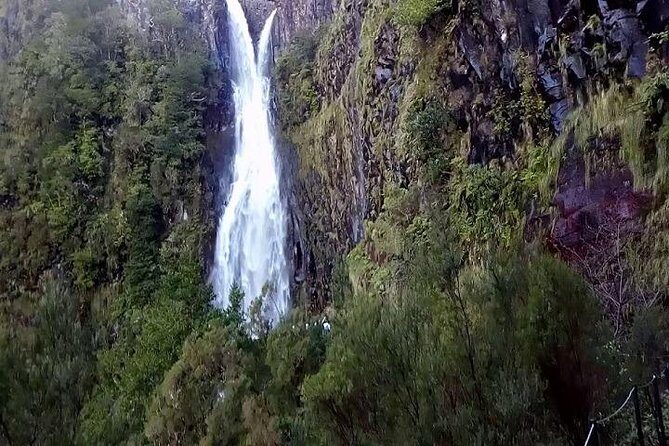 Private VipTours up to 4pax/8pax/19pax - Private Madeira with your group only: what that really means
