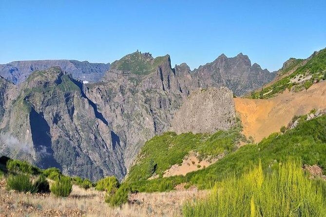Private VipTours up to 4pax/8pax/19pax - Who should book this private VIP Madeira tour?
