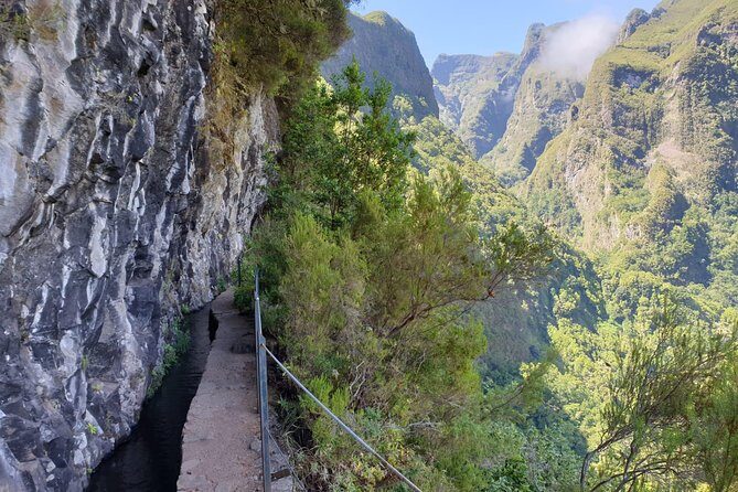 Queimadas-Caldeirão Verde - A smooth morning: Funchal pickup and a serious walk