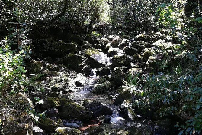 Queimadas-Caldeirão Verde - The ending: views, waterfall moments, and guide care