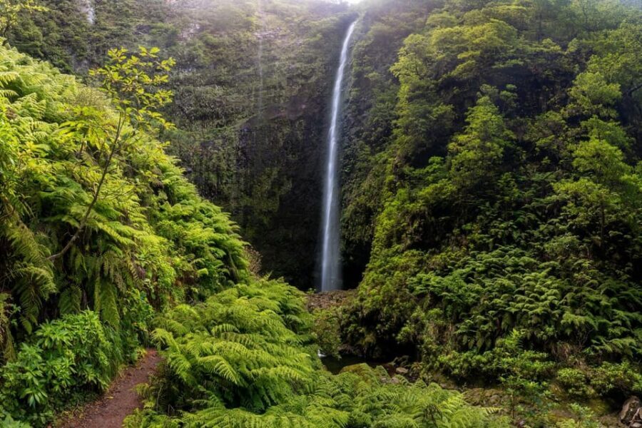 Queimadas Caldeirão Verde Madeira Island Walk - Queimadas Park start: forest guesthouse vibes and an easy mental shift